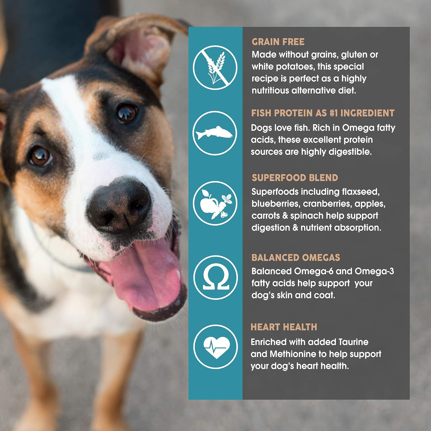 earthborn holistic coastal catch 12kg