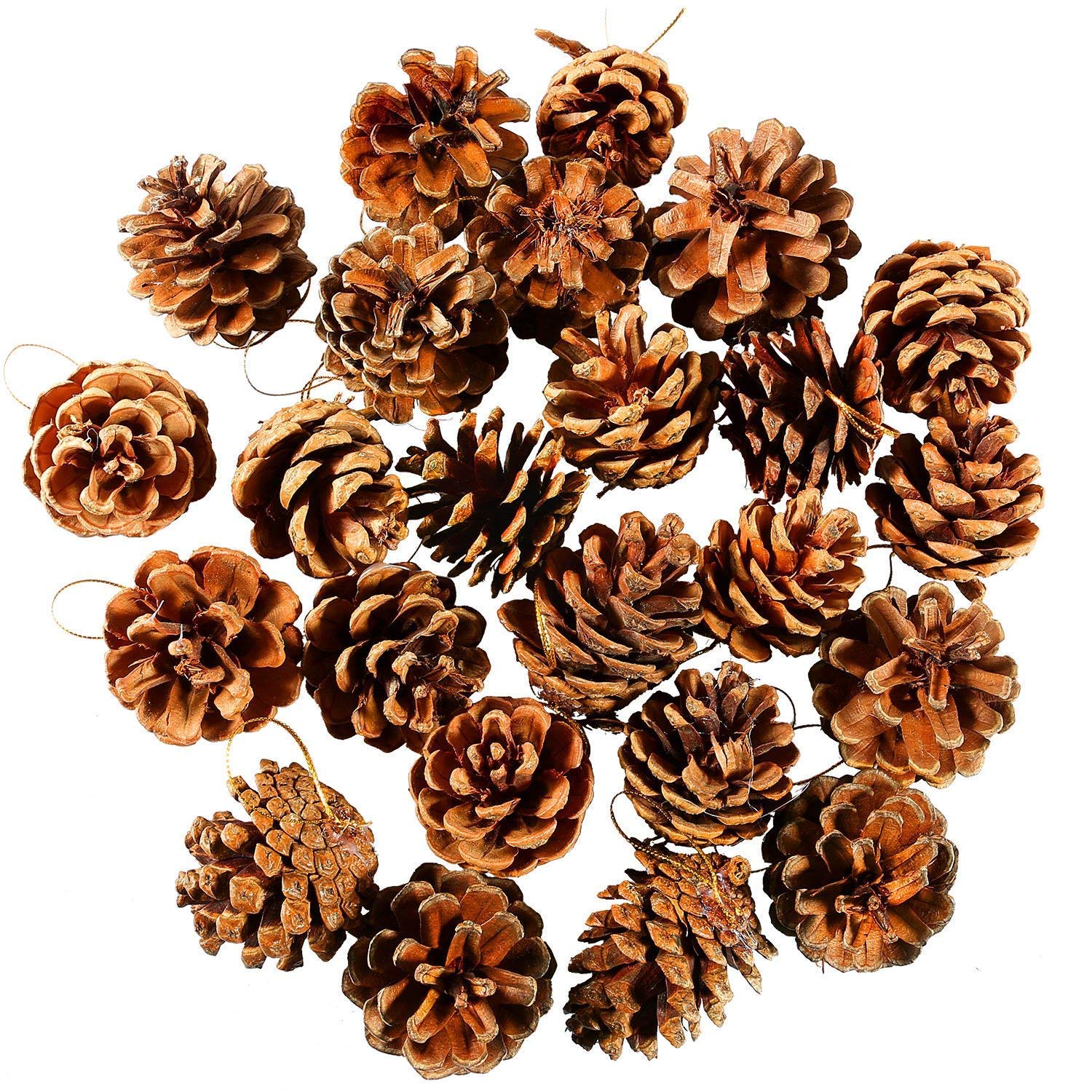 photography props diy