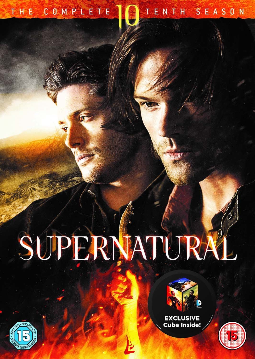 Supernatural: Season 10 [DVD] [2014]
