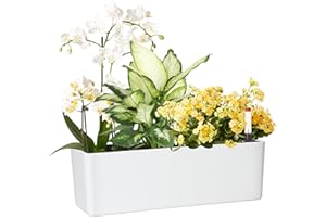 GardenBasix Elongated Self Watering Planter Pots Window Box 5.5 x 16 inch Indoor Home Garden Modern Decorative Planter Pot for All House Plants Flowers Herbs (White,1-Pack)