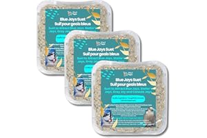Chirp & Maple, Blue Jays Suet, Suet for Wilds Birds, Wild Bird Food, (3-Pack) 900G