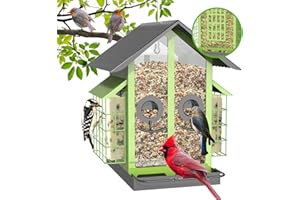 FlowaFoli Bird Feeders for Outdoors, Metal Bird Feeder with Double Suet Cage Weatherproof Metal Roof, 2 in 1 Mixed Seeds Suet Feeder, 4Lbs Large Capacity, Great for Finch、Cardinal、Chickadee（Green）