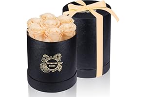 UFOREVER ROSES 7-Piece Preserved Roses in a Box Mothers Day Rose Valentines Day Gifts for Her, Real Roses That Last a Year and More, Christmas Day, Birthday Day (Buttermilk)