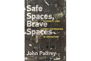 Safe Spaces, Brave Spaces: Diversity and Free Expression in Education (Mit Press)