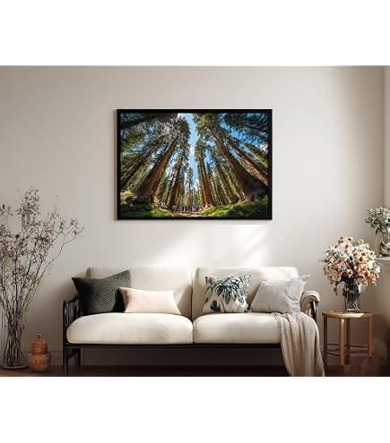 Amazon.com: Pink Cherry Trees Blooming Pictures for Living Room