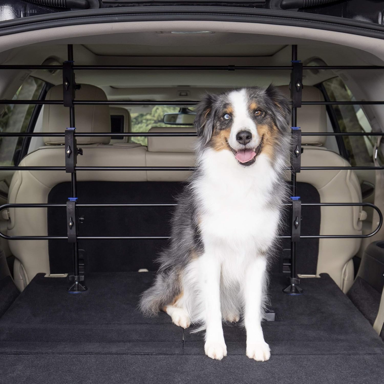 PetSafe Happy Ride Metal Dog Barrier - See-through Tubular Design - Fits Most Cars, Minivans and SUVs - Keep Pets in the Back - Easy to Store in Vehicles : Pet Supplies
