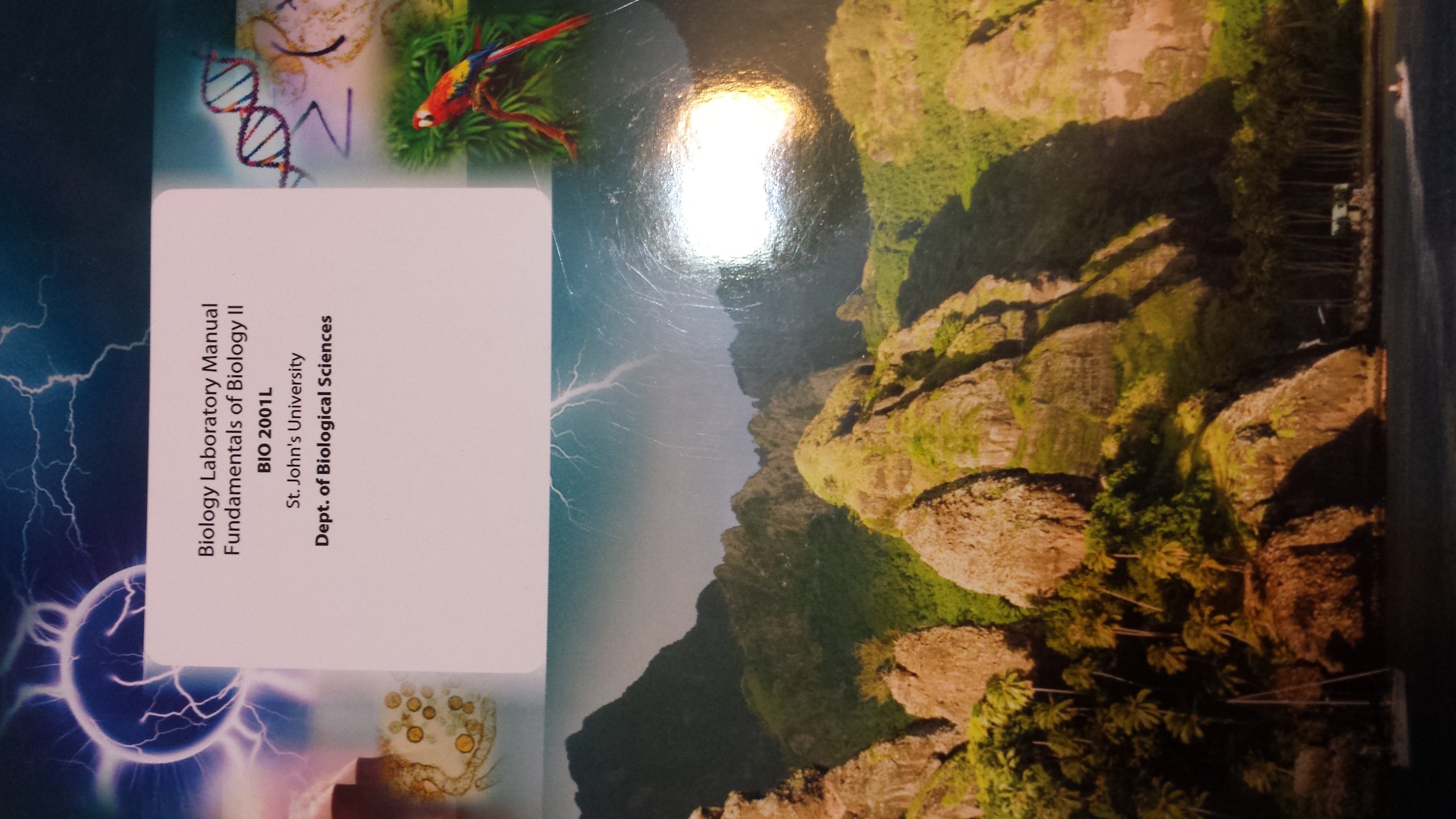 Biology Laboratory Manual Fundamentals of Biology II (BIO 2001L St John's  University): Dept of Biological Sciences: 9781121258112: Amazon.com: Books