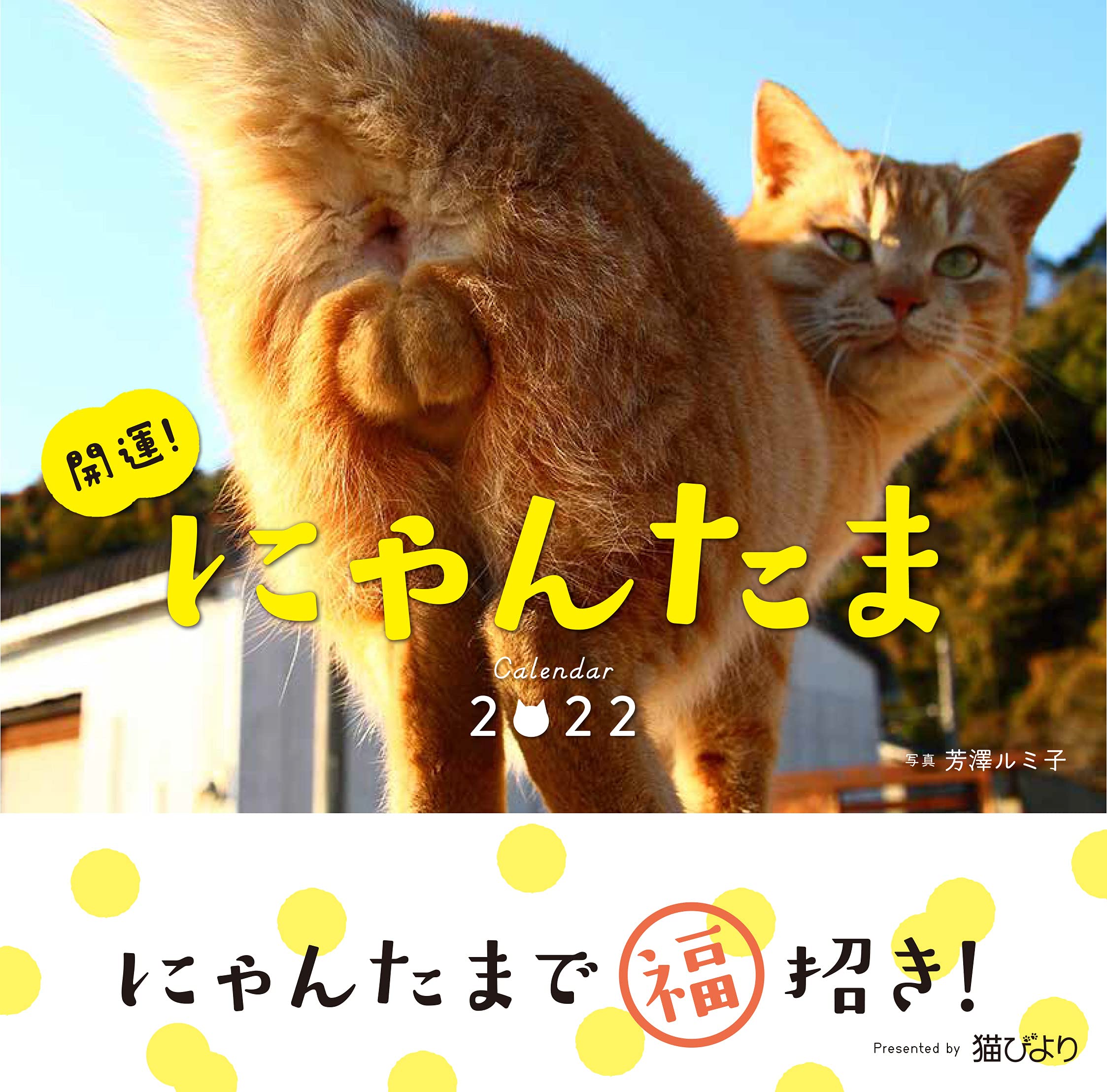 にゃん