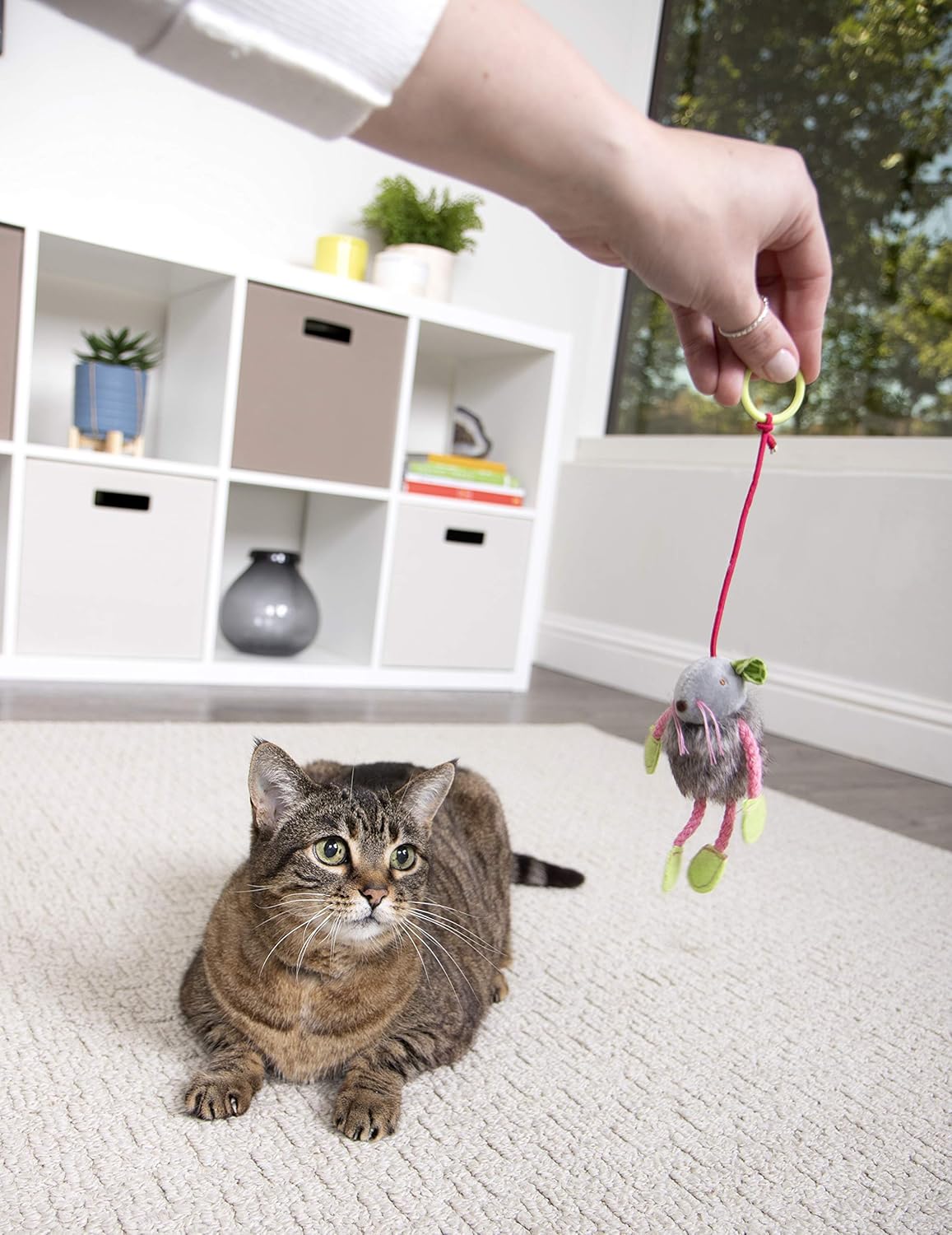 SmartyKat Bouncy Mouse Cat Toy Bungee Toy : Pet Mice And Animal Toys : Pet Supplies