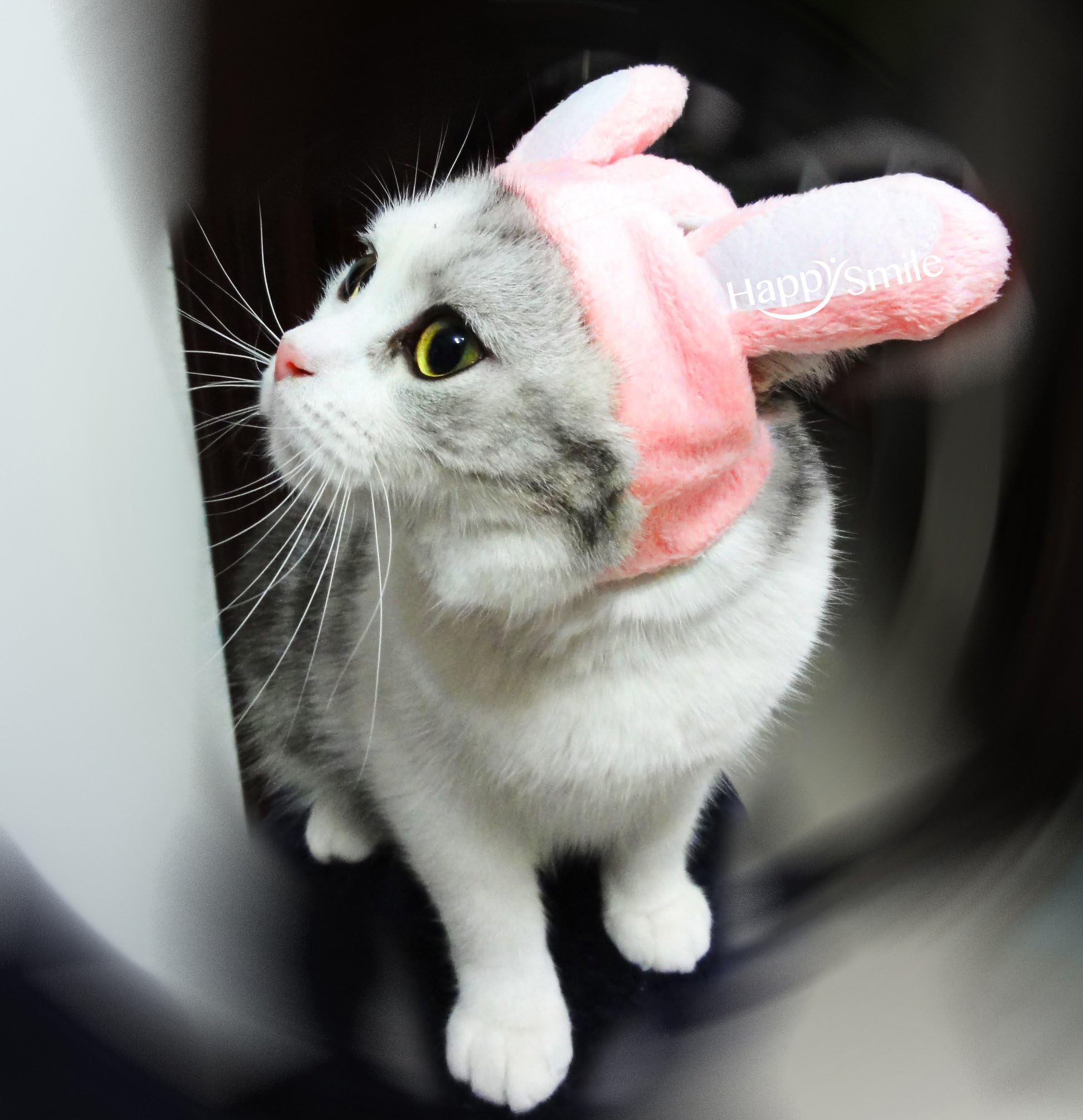 HappySmile Pet Costume Bunny Year and Tiger hat for Dog Cat Halloween Dress up with Ears