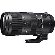 Amazon.com : Sigma 70-200Mmf/2.8 DG OS HSM for Sigma SA