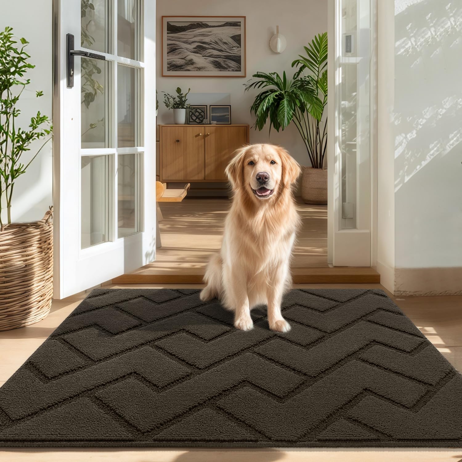 Biscpro Door Mat, 80x100cm DoorMat Indoor Washable, Doormat Indoor Dirt Trapper Non-slip,Absorbent Inside Entrance Rug Mat for Entryway,Patio,Garden,Laundry Room,Pets - Latte