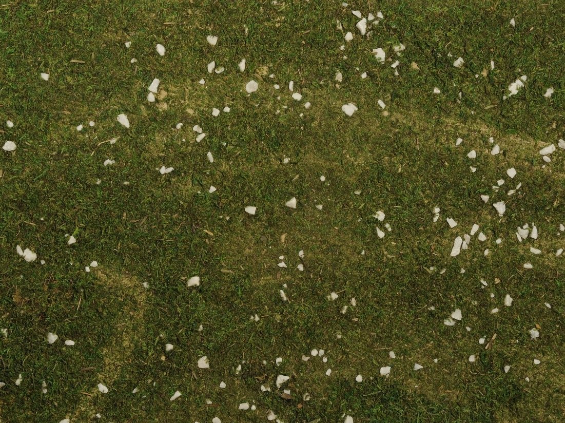 GURU MWG BARBLESS SZ 12 &ndash; Carp Hunter