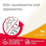 Beaphar WORMclear Tablets for Cats 4 Pack Kills Round & Tapeworms view 4
