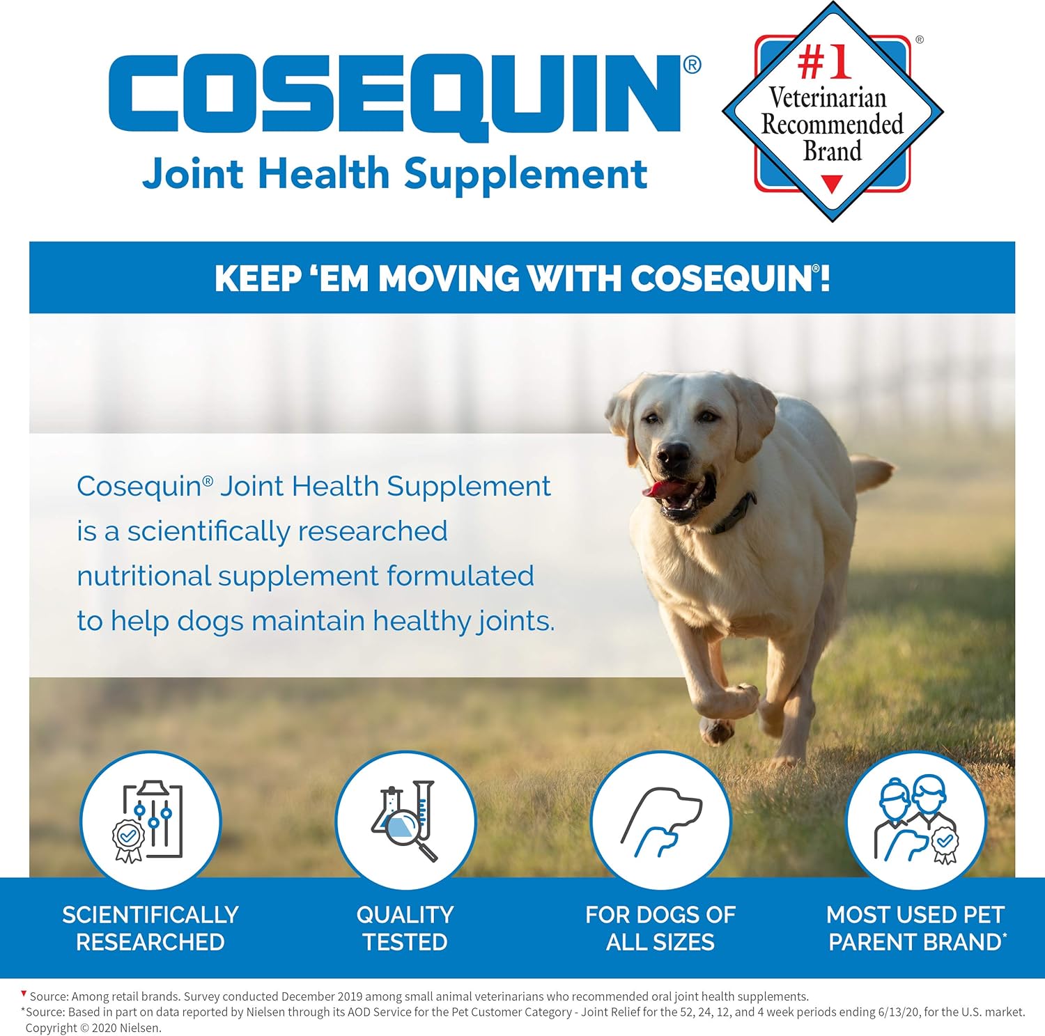 Cosequin Soft Chews with MSM and Omega-3s, 120 ct : Pet Supplies
