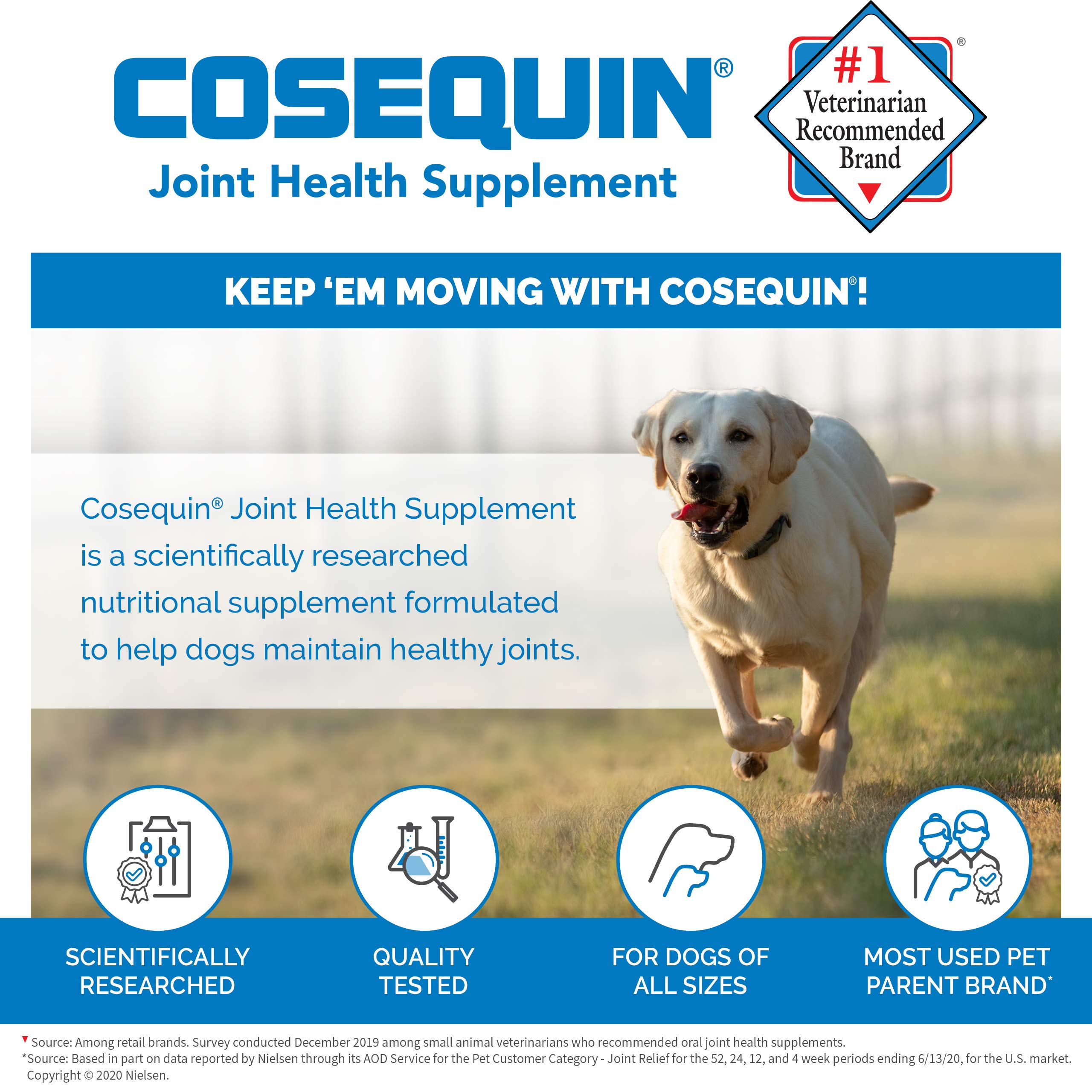 Cosequin Maximum Strength Joint Supplement Plus MSM with Glucosamine
