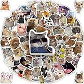 100 Pcs Cat Stickers, Funny Cat Meme Stickers, Cute Kitten Packs | Waterproof Vinyl Fun Decals for Laptop Water Bottles Phone Scrapbook Guitar Luggage, for Adults Kids Teens Boys Girls