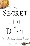 The Secret Life of Dust: From the Cosmos to the Kitchen Counter, the Big Consequences of Little Things