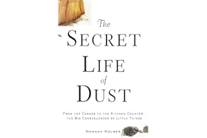 The Secret Life of Dust: From the Cosmos to the Kitchen Counter, the Big Consequences of Little Things