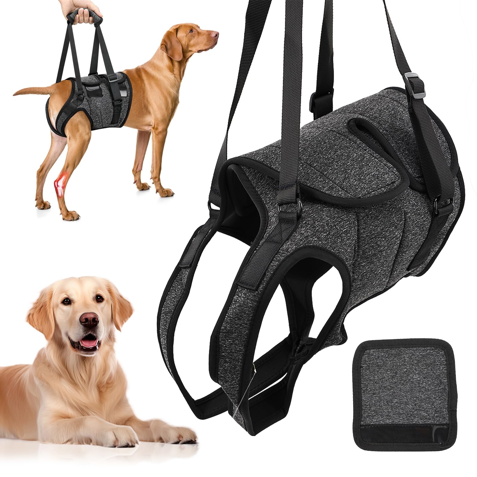 Photo 1 of Help Em Up Harness for Dogs - Adjustable Dog Lift Harness & Dog Sling Support for Hind Legs, Senior & Recovering Pets (XL, Dark Gray)