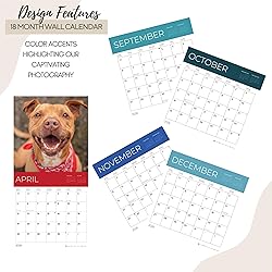 July 2025- December 2026 Pit Bulls Wall Calendar 18