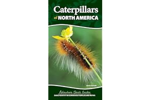 Caterpillars of North America: Easily Identify 90 Common Butterflies and Moths (Adventure Quick Guides)