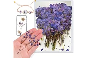 HQT Pressed Dried Gypsophila Flowers, 42PCS Purple Natural Real Dried Pressed Babysbreath Flowers with Stem, Dry Flowers for Resin Jewelry DIY Phone Case Decor Crafts Candle Making