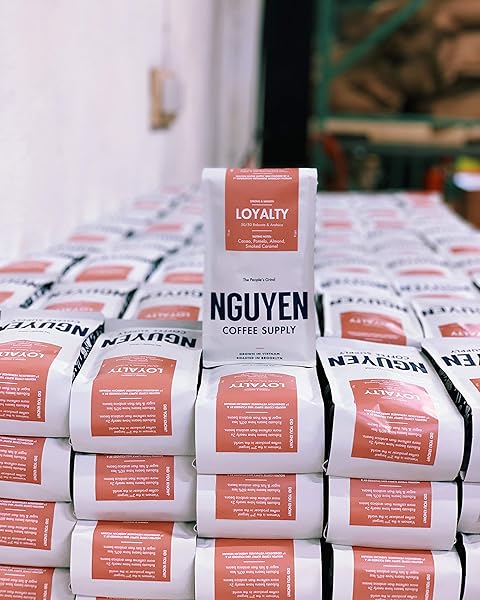 NGUYEN COFFEE SUPPLY – LOYALTY SIGNATURE ROBUSTA & ARABICA BLEND: MEDIUM ROAST PREMIUM GROUND COFFEE BEANS, VIETNAMESE SINGLE ORIGIN, DIRECT TRADE, ROASTED IN BROOKLYN [12 OZ BAG]