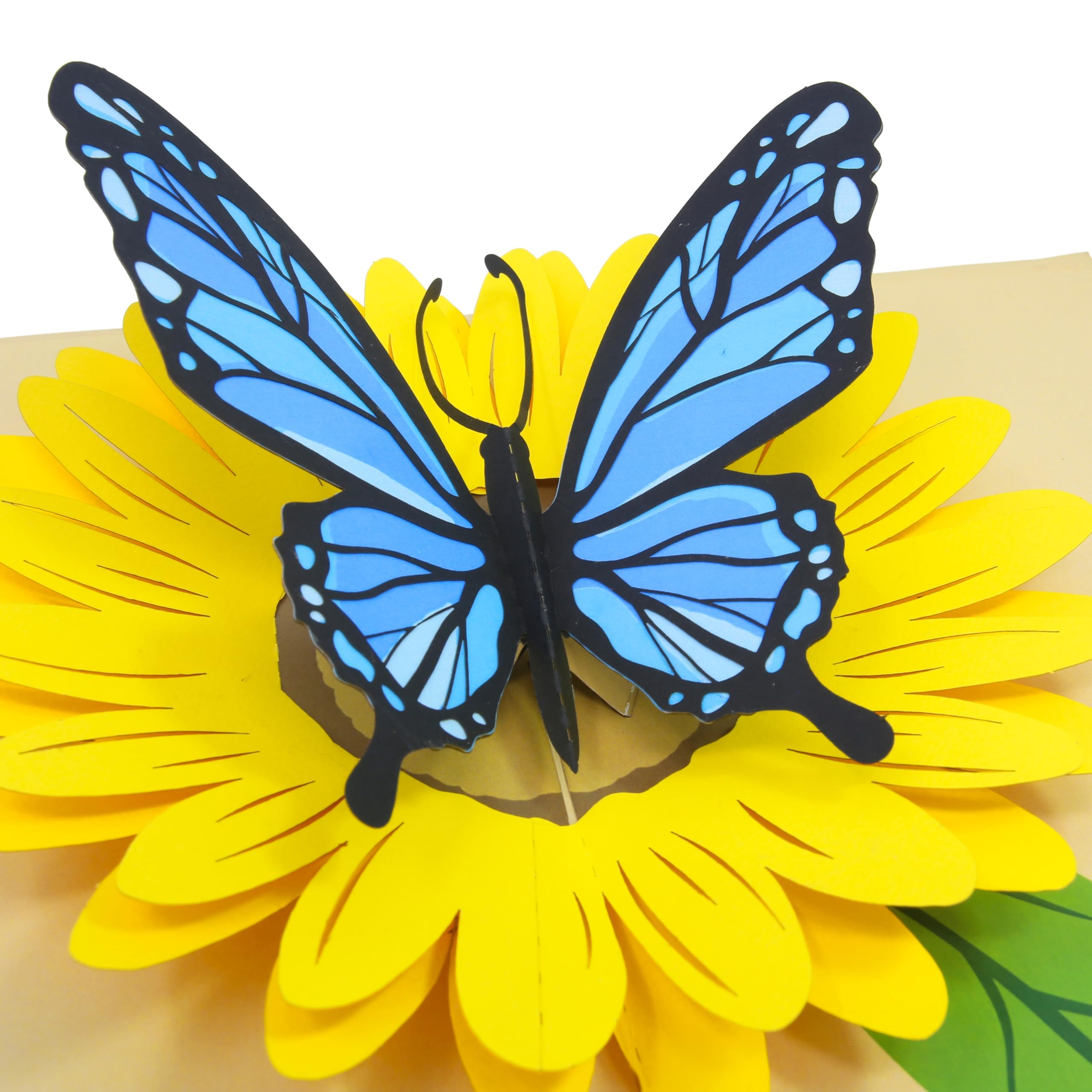 PopLife Blue Butterfly and Sunflower Pop Up Mother's Day Card - 3D Anniversary, Valentine's Day Card, Thank You, Happy Birthday - for Mom, for Wife, for Daughter, for Sister