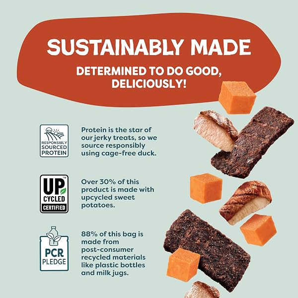 SHAMELESS PETS JERKY BITES TREATS, DUCK-TATO – HEALTHY DOG CHEWS FOR DIGESTION SUPPORT WITH FIBER – DOG TREATS WITH REAL CAGE-FREE DUCK – FREE FROM GRAIN, CORN & SOY – 1-PACK