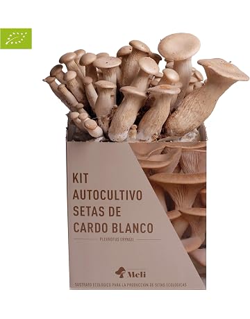 Amazon.es: Kits de cultivo en casa: Jardín