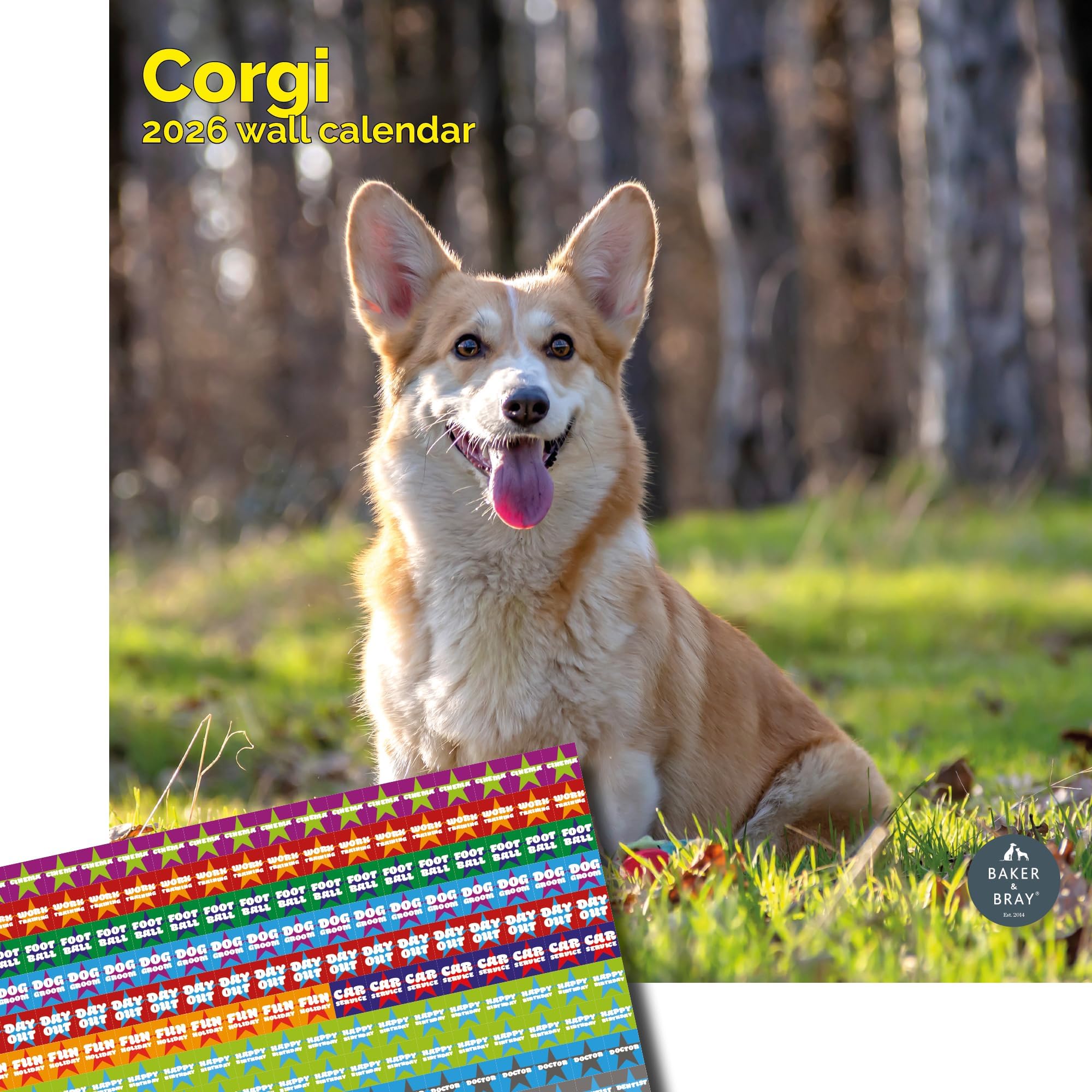 Baker and Bray Corgi Calendar 2026, Large Square Wall Calendar With Organisational Stickers 16 Month, Corgi Gift Dog Calendar