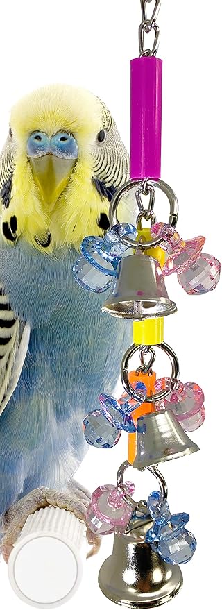 caique toys