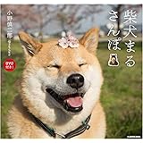 柴犬まるさんぽ DVD付き!