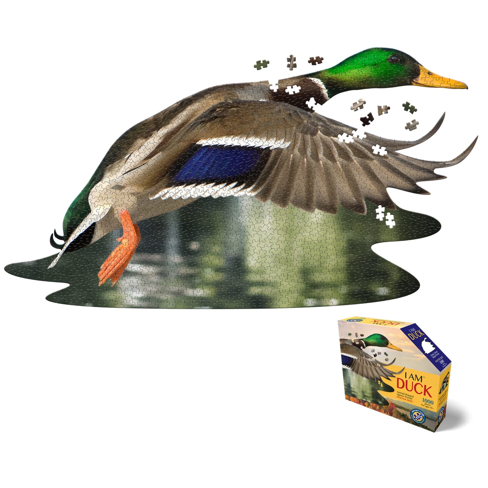 Madd Capp Shape Puzzle Contour Duck 1000 Pieces for Adults and Children from 12 Years