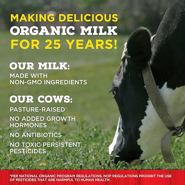 HORIZON ORGANIC SHELF STABLE 1% LOWFAT STRAWBERRY MILK BOXES, PACK OF 6 – 8G PROTEIN PER SERVING