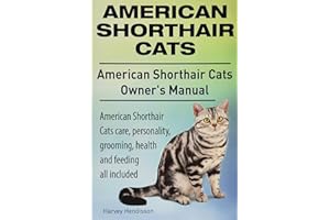 American Shorthair Cats. American Shorthair care, personality, health, grooming and feeding all included. American Shorthair Cats Owner’s Manual.