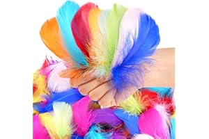PEASUG 600 Pcs Feathers for Crafting, 3-5 inch Craft Feathers Assorted Colors, Goose Feathers for Crafts, Feathers Bulk for The Kids, Dream Catcher, Costume, Mask, Hat, Angel Wings, Decor - Colorful