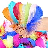600 Pcs Feathers for Crafting, 3-5 inch Craft