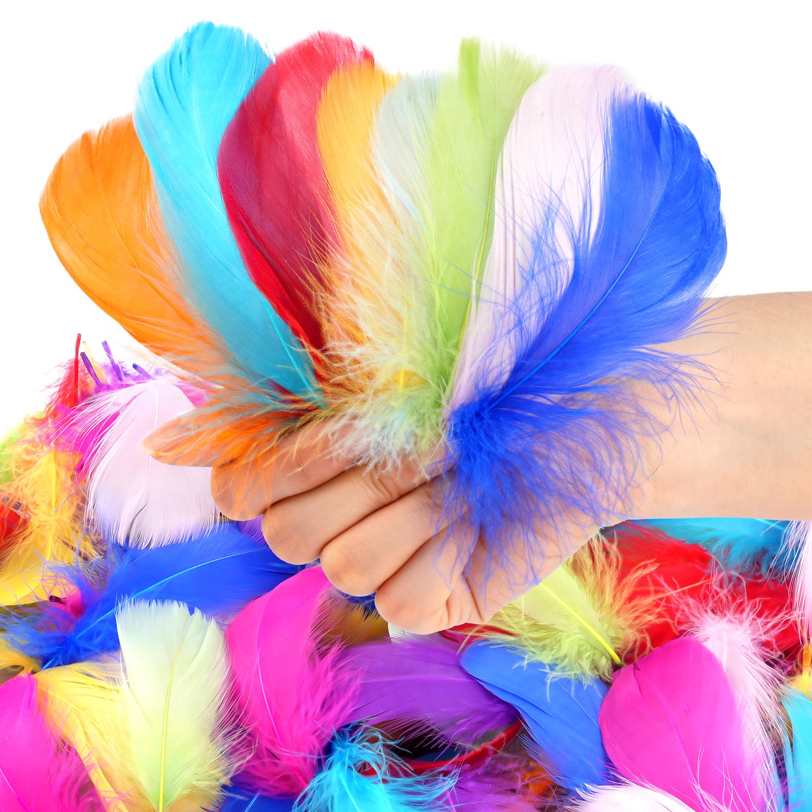 600 Pcs Feathers for Crafting, 3-5 inch Craft