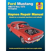 1966 Mustang Owner