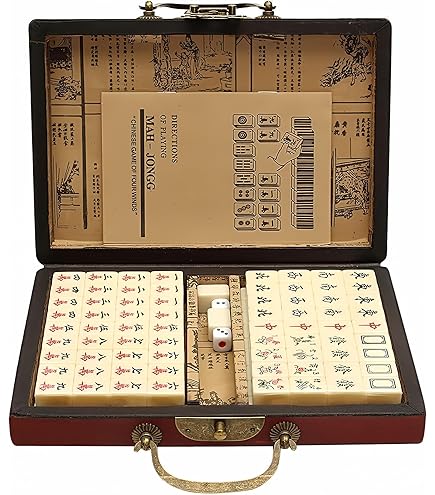Amazon.com: LinaLife Chinese Mahjong Toy Set, Classic Board Game