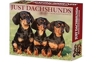 Willow Creek Press Dachshunds Daily 2024 Box/Desk Calendar (5.86" x 4.72")
