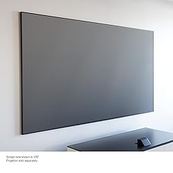 Epson SilverFlex Ultra 120-Inch Ambient Light