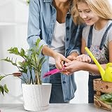 CSYY 6-Pack Plant Pots Indoor Outdoor Self Watering Tray view 4