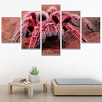 SIGNWIN 5 Panel Canvas Wall Art Modern Art Bee Butterfly Colorful Contemporary Insects Multicolor Photography for Home Decorations Ready to Hang - 60