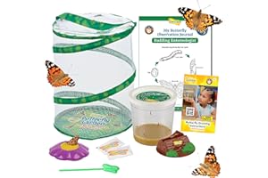 Insect Lore Butterfly Garden Kit - 5 Live Baby Caterpillars, Habitat, Feeder, Chrys-A-Lid Log, STEM Journal Included - Grow, Raise and Release Painted Lady Butterflies