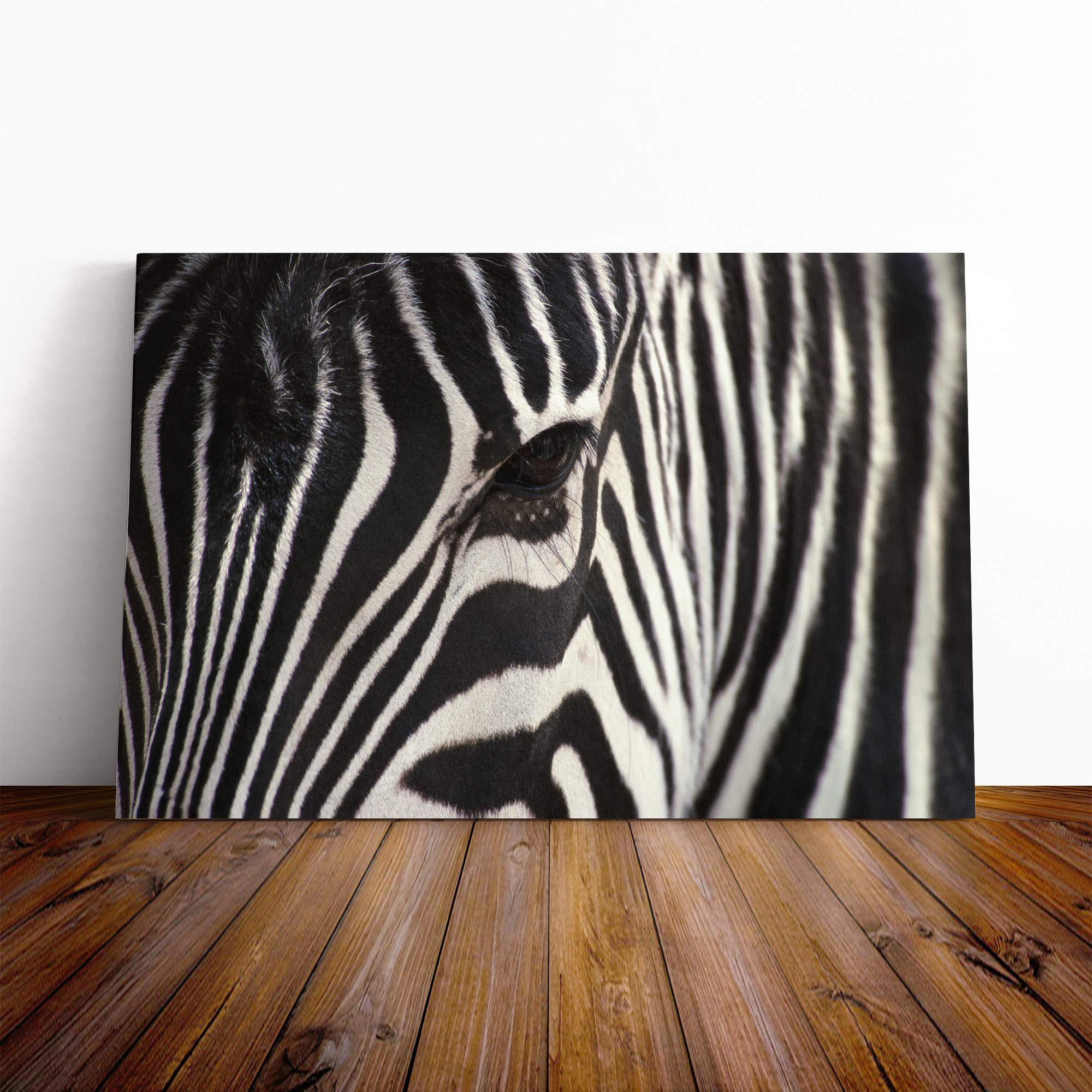 Zebra (4) Canvas Print | Gallery Wrapped 30mm Frame Wall Art | 20x14 inches | Ready to Hang | Modern Animals Picture | Living Room Bedroom Lounge Office