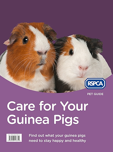 Download Care for Your Guinea Pigs (RSPCA Pet Guide) (English Edition) PDF