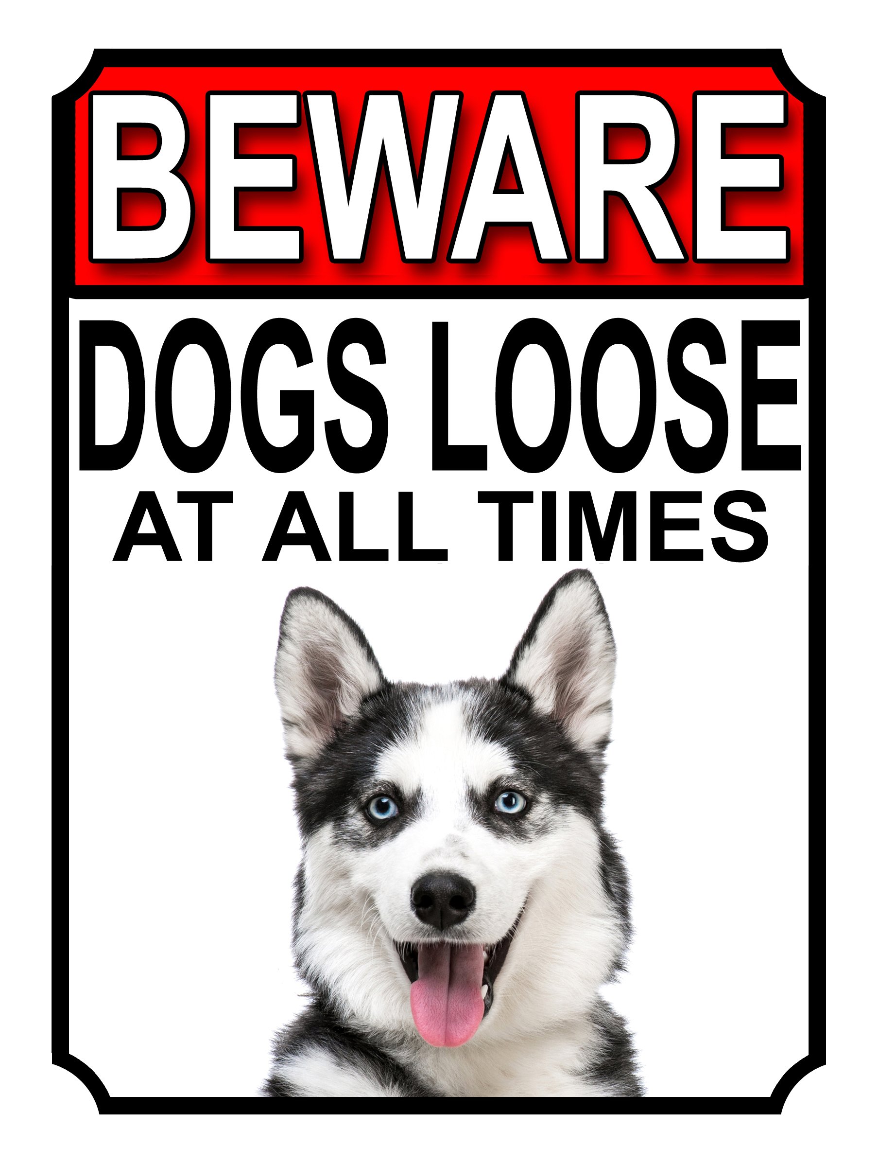 BEWARE DOGS LOOSE AT ALL TIMES METAL SIGN SIBERIAN HUSKEY 200MM X 150MM (1021H1) โ image 1